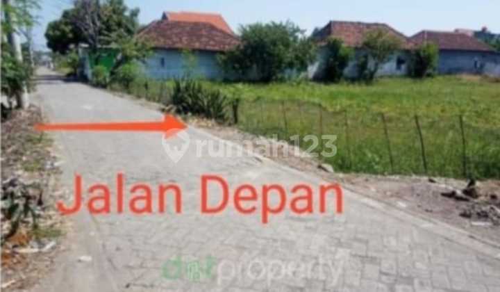 Tanah Untuk Perumahan Sedati Sidoarjo Kawasan Sudah Ramai Tanah Untuk Perumahan Sedati Sidoarjo Kawasan Sudah Ramai