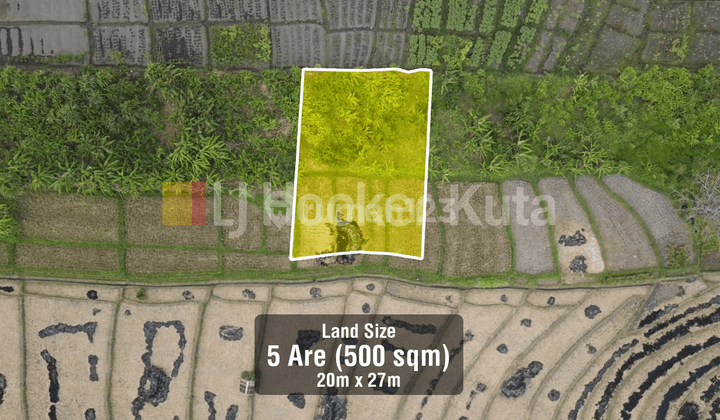 Jual Tanah Luas 500 m² Dikelilingi Oleh Sawah di Canggu 1