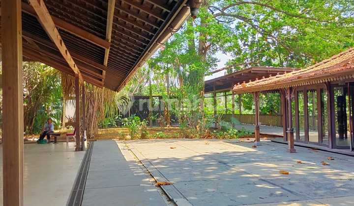 DIJUAL KAVLING JERUK PURUT LUAS 5.555m2 LOKASI STRATEGIS, JARANG ADA DIJUAL KAVLING JERUK PURUT LUAS 5.555m2 LOKASI STRATEGIS, JARANG ADA