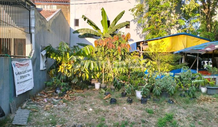 Kavling Duri Kosambi Flamboyan Hadap Boulevard Kavling Duri Kosambi Flamboyan Hadap Boulevard