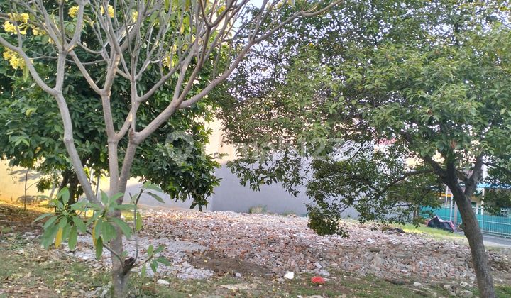 Kavling Duri Kosambi Flamboyan Jingga Hadap Utara Kavling Duri Kosambi Flamboyan Jingga Hadap Utara