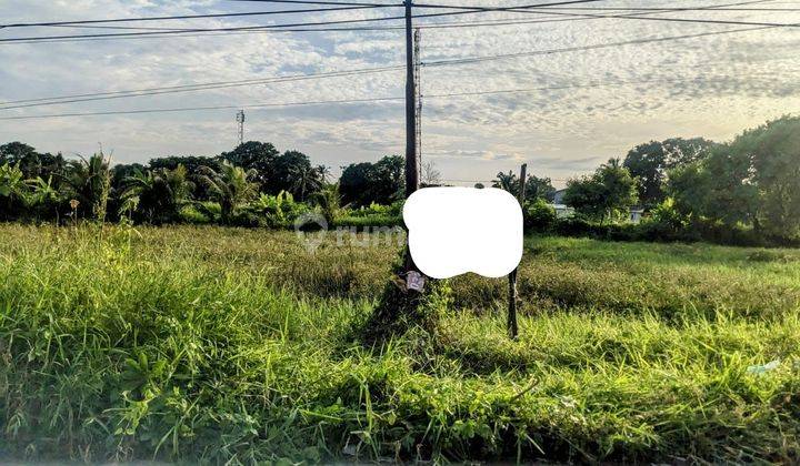 Dijual Tanah Talok Kresek Luas 4204m2 Tangerang 1
