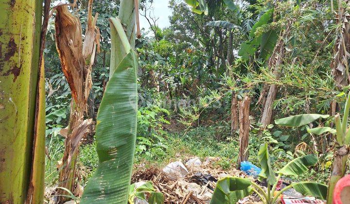 Tanah dijual cepat dekat pintu tol Brigif