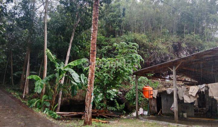 Tanah di jalan raya Pantai Baron cocok untuk hotel, homestay dan usaha  1