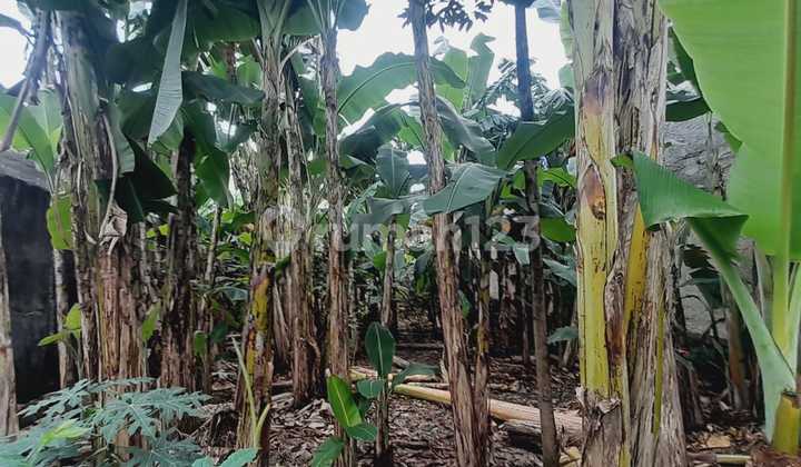 Dijual Lahan Tanah 1000.0 M² Shm Di Gandul Depok Dijual Lahan Tanah 1000.0 M² Shm Di Gandul Depok