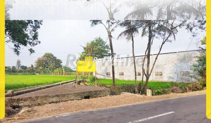 Dijual Tanah di Karanganom Klaten samping Gudang akaes kontainer