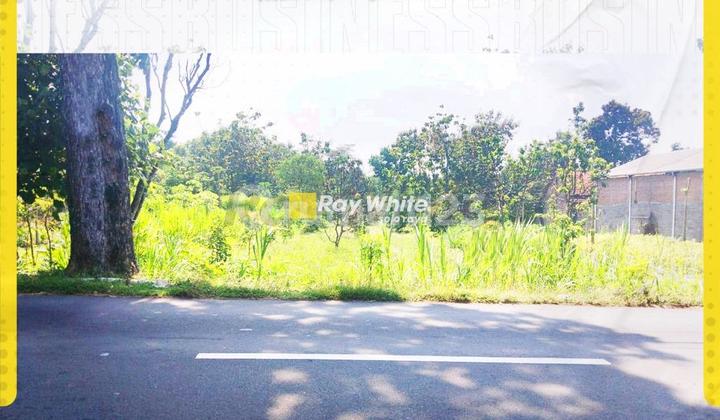 Land for Sale in Musuk, Boyolali