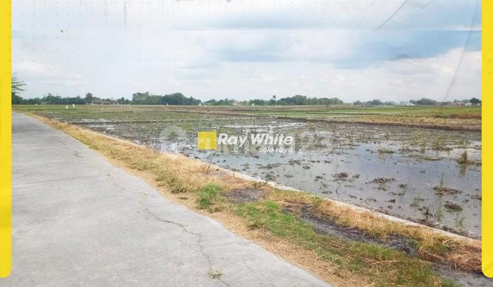 Rice Field Land for Sale in Sidoharjo Sragen