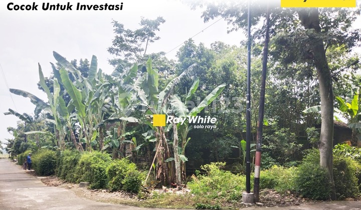 Di Jual Tanah di Gedaren, Jatinom, Klaten Di Jual Tanah di Gedaren, Jatinom, Klaten