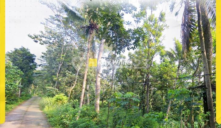 Dijual Tanah di Ampel Boyolali Dijual Tanah di Ampel Boyolali