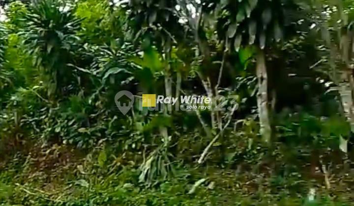 Dijual Tanah di Ampel Boyolali Dijual Tanah di Ampel Boyolali