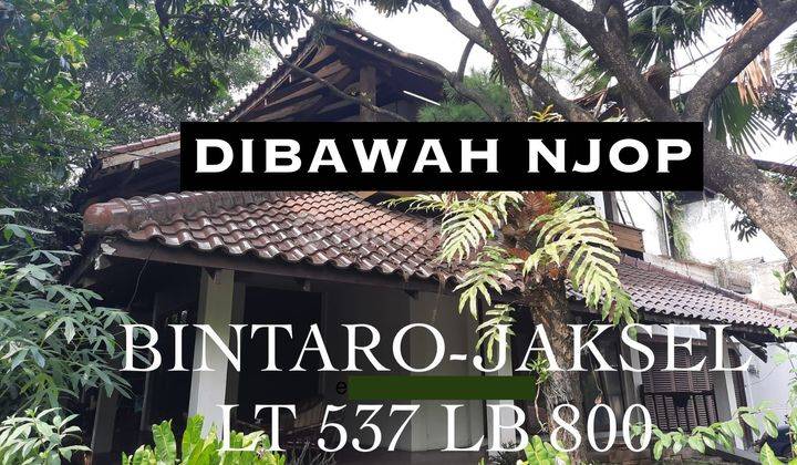 Jual Rumah Bintaro JAKSEL harga NJOP 1