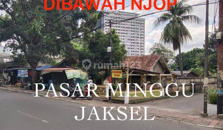 TANAH DI JL RAYA PS MINGGU (DIBAWAH NJOP) 1