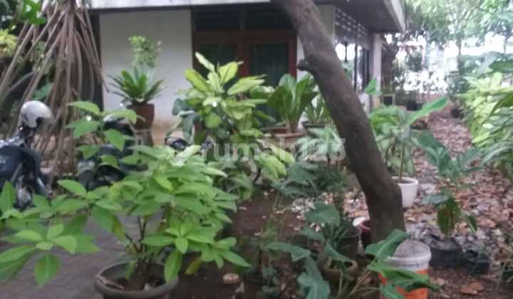 Rumah Unfurnished SHM Cempaka Putih, Jakarta Pusat Hitung Tanah 2