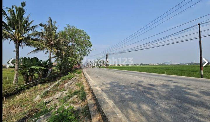 Tanah Kosong Lokasi Pinggir Jalan Raya Gunung Sari Atau Jalan Raya Ir Sutami, Mauk Tangerang 2