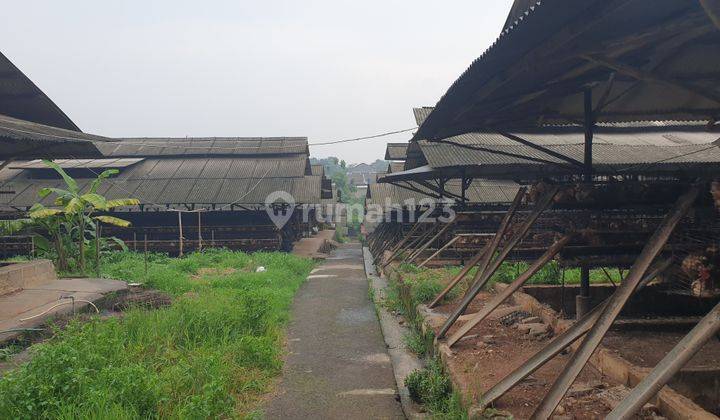 Kavling Luas Matang di Jalan Raya Gunung Sindur  2