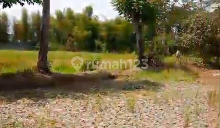 Tanah Dijual  Zona Industri Bisa Produksi Balaraja Jayanti Tangerang