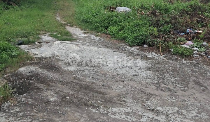 Land for Sale Suitable for Investment in Raya Serang