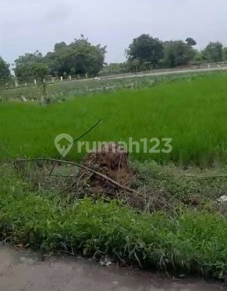 Dijual Tanah Lokasi Strategis Kronjo Tangerang