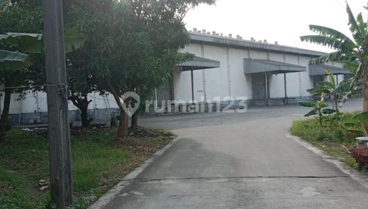Warehouse for Rent, Ready to Use in Bitung Tangerang Warehouse for Rent, Ready to Use in Bitung Tangerang