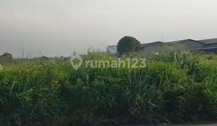 Dijual Tanah Lokasi Strategis di Balaraja Tangerang Dijual Tanah Lokasi Strategis di Balaraja Tangerang