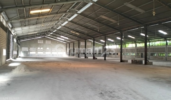 For Rent: Ready-to-Occupy Warehouse in Strategic Location, Batu Ceper