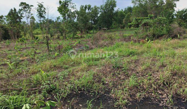 Dijual Tanah Kavling Lahan Murah Untuk Perumahan di Daru Tenjo 2