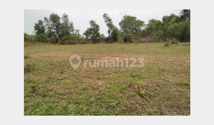 Dijual Cepat BU Tanah Industri di Tigaraksa Tangerang