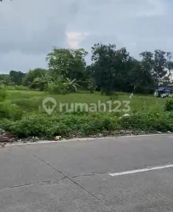 Dijual Tanah Cocok untuk Usaha di Balaraja Tangerang