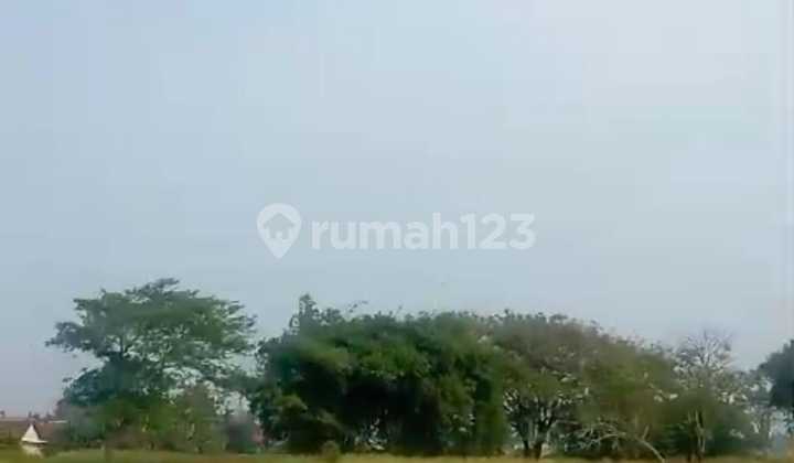 Dijual Tanah Zona Kuning Di Kresek Balaraja Untuk Perumahan Dijual Tanah Zona Kuning Di Kresek Balaraja Untuk Perumahan