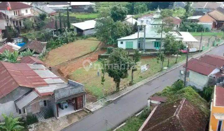 Dijual Tanah Kavling di Wonosobo Jawa Tengah Untuk Homestay, Cafe, Mini Resto, Ruko, Dan Rumah Tinggal 2