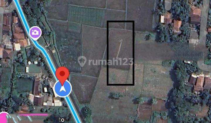 Dijual Tanah Sawah Di Kemiri Tangerang Banten 2