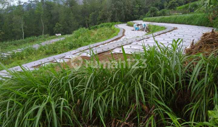 Ready-to-build land in Getasan Kopeng Salatiga 1