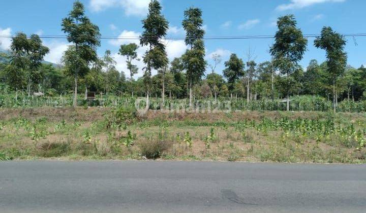 Tanah siap bangun view gunung  1