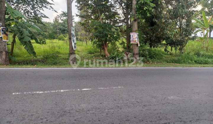 Tanah Pinggir Jslan Raya Kopeng, Sumogawe Salatiga Tanah Pinggir Jslan Raya Kopeng, Sumogawe Salatiga