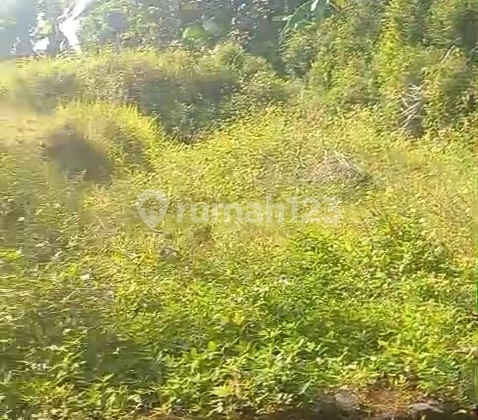 Tanah Siap Bangun di Krenceng Sidomukti,.Salatiga