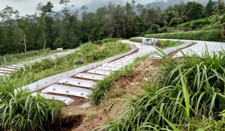 Ready-to-build land in Getasan Kopeng Salatiga 2