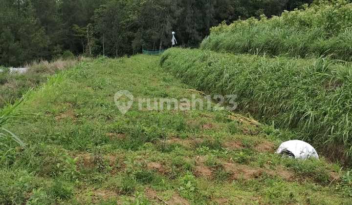 Land Ready to Build in Getasn Kopeng Salatiga 2