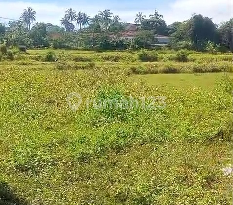 Kavling Siap Bangun di Merdeka Selatan, Salatiga