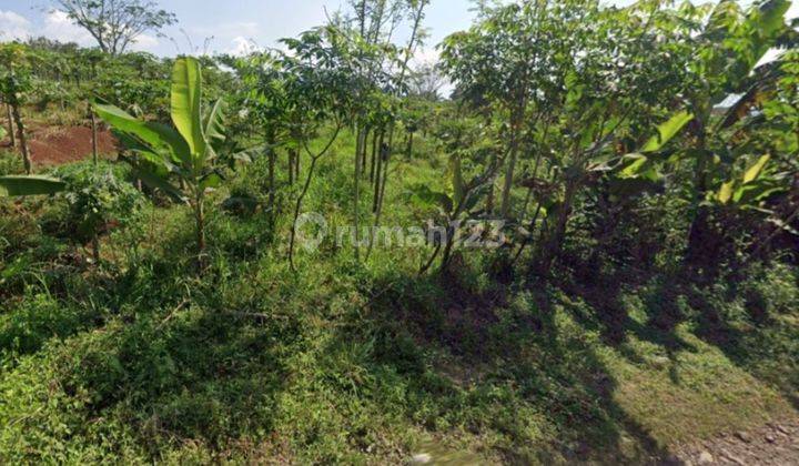 Dijual Tanah di Cibinong Hilir, Cianjur Seluas 27 Ha 2