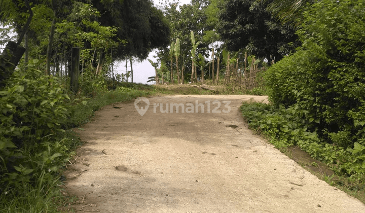 Tanah Kebun Cariu 5 Ha bisa Beli Sesuai Kebutuhan  2