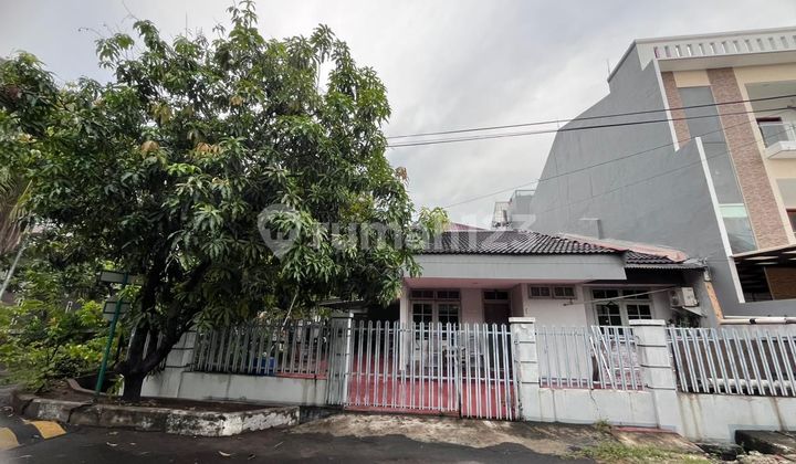 HOEK HOUSE COCONUT PUAN EAST (YG) 1