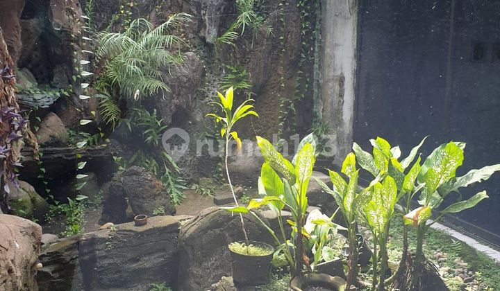 2-STORY HOUSE IN NORTH PULOMAS (PG) 2