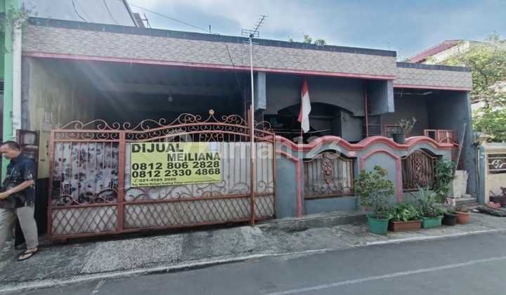 Diju4l Cep4t! Kebantenan Road, Semper