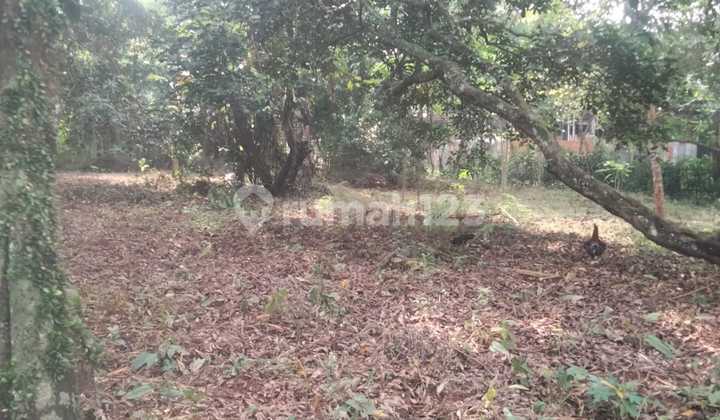 Kavling Kp Sadang Jawa Barat Strategis dan Bagus (Tkdt) Kavling Kp Sadang Jawa Barat Strategis dan Bagus (Tkdt)