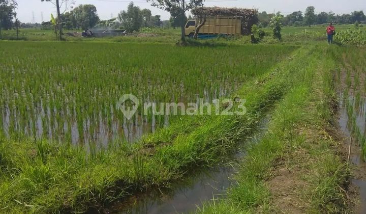 Tanah di Jl raya Prodo 5530 SHM