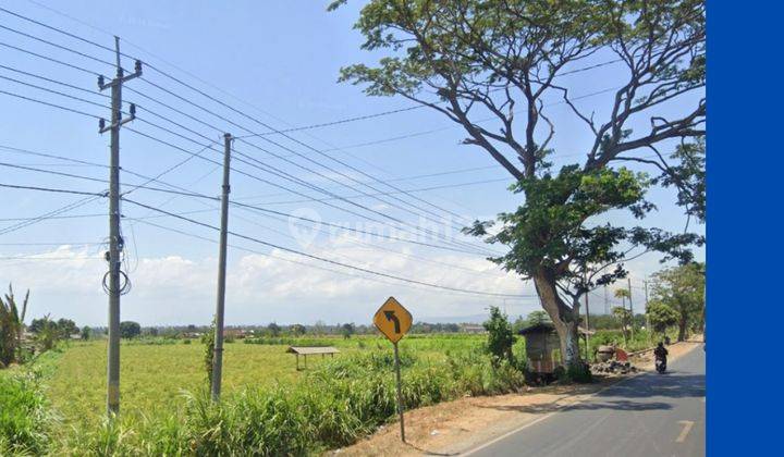 Tanah 980000 m2 GIRIK Banyuwangi, Banyuwangi 1