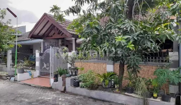 Rumah, 1 Lantai, SHM, di Sutorejo 1