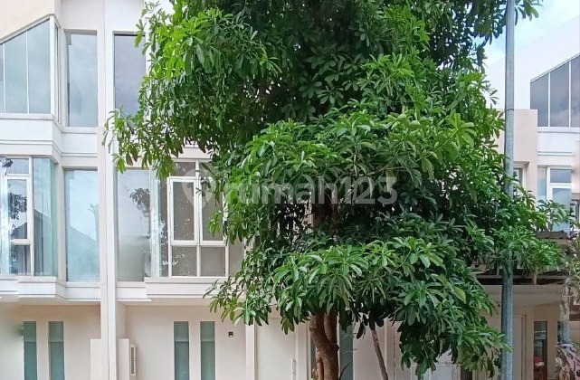 *Butuh Jual Cepat!* Rumah Zimbali Costa, Grand Island, Pakuwon City Minimalis, Siap Huni 1