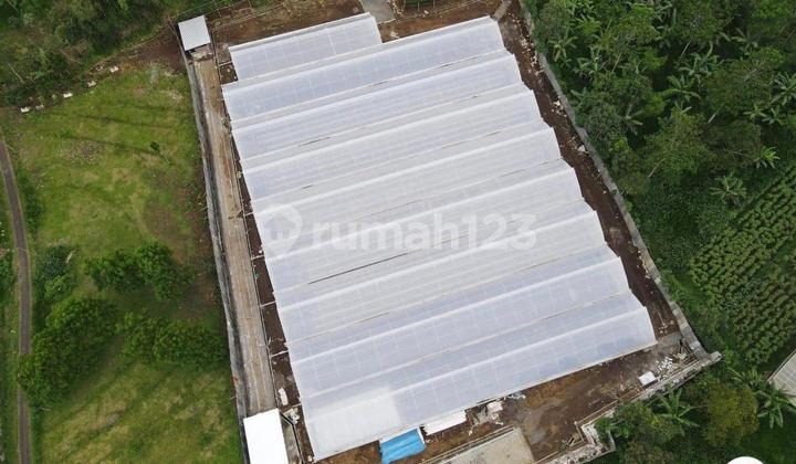 Dijual Perkebunan Holtikultura di Tutur Nongkojajar Pasuruan